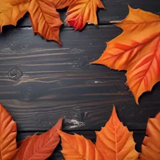 iphone backgrounds fall