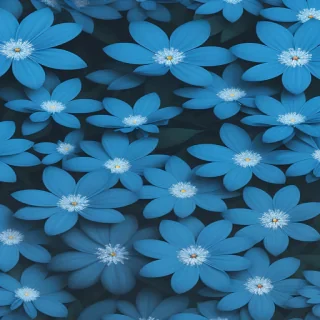 background blue flower wallpaper