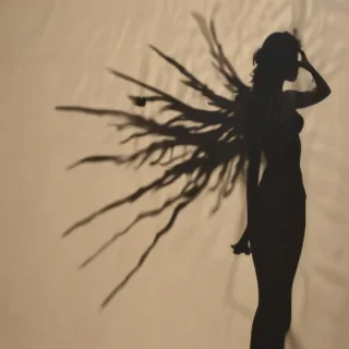 shadow wallpaper