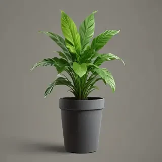 potted plant png