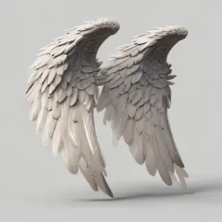 angel wings png transparent