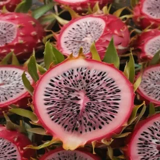 dragon fruit png