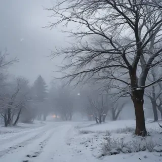 falling snow png