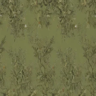 olive green aesthetic wallpaper