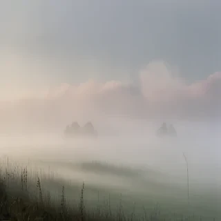 fog transparent background
