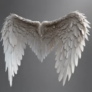 angel wings transparent background