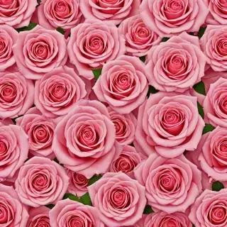 rose background wallpaper