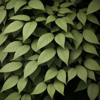 foliage