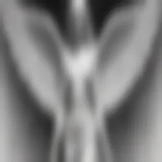 black and white angel drawings