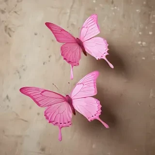 pink butterfly images