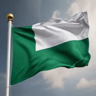 nigerian flag png
