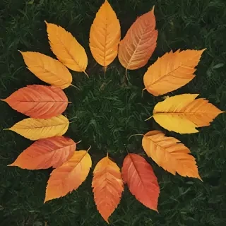 leaf circle