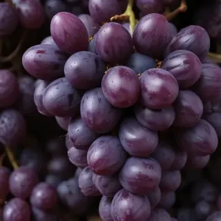 grape png