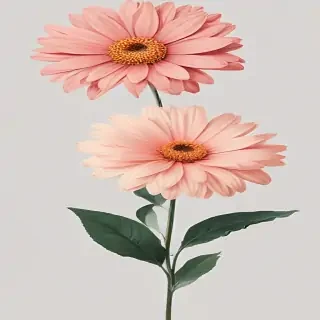 aesthetic flower png