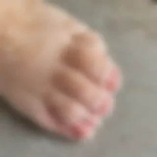 cat paw