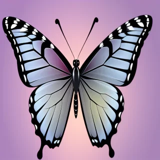 butterfly transparent png