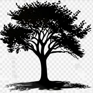 tree shadow png