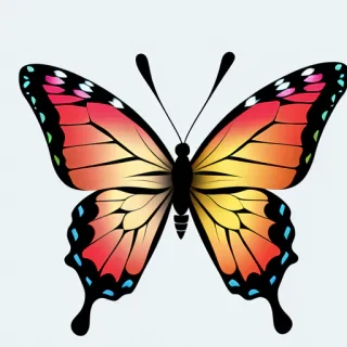 transparent background butterfly png