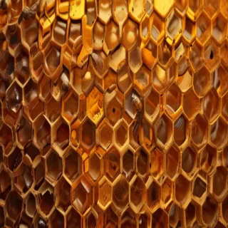 honeycomb png