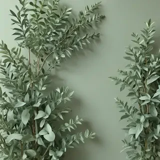 sage green aesthetic