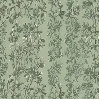 sage green wallpaper aesthetic