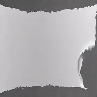 ripped paper transparent