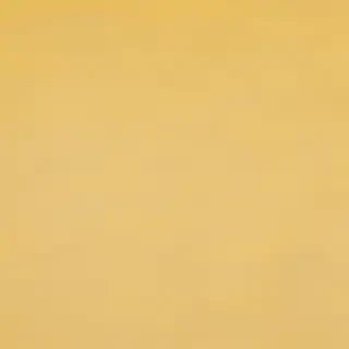 aesthetic yellow bg