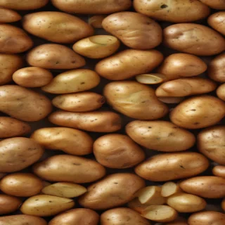 potato transparent background
