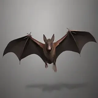 bat png