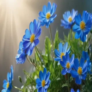 background blue flower