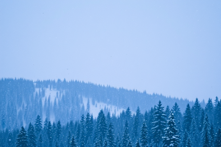 snow wallpaper iphone