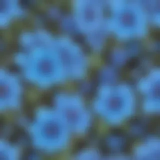 blue flowers background