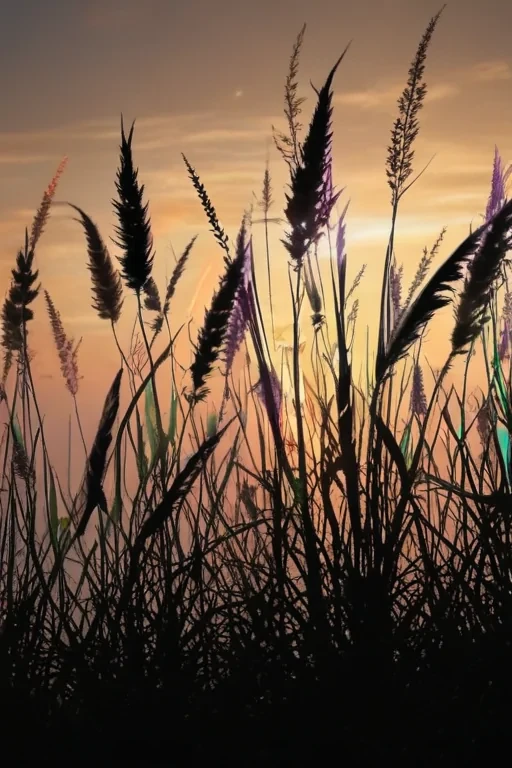 grass silhouette