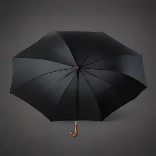 umbrella png