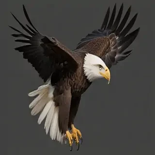 bald eagle png