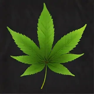 weed leaf png