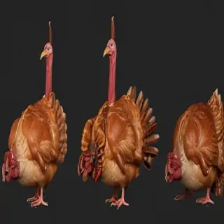 turkey png