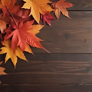 fall iphone background