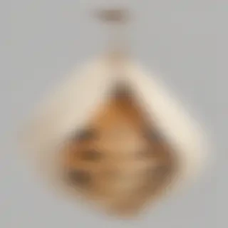 butterfly cocoon png