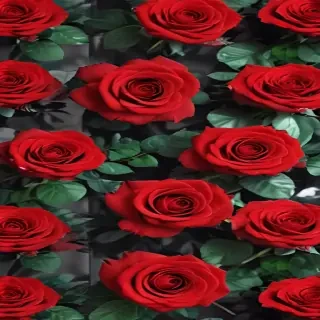 red roses aesthetic