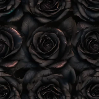 aesthetic black rose wallpaper