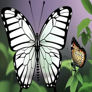 transparent butterfly png
