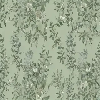 sage green wallpaper aesthetic