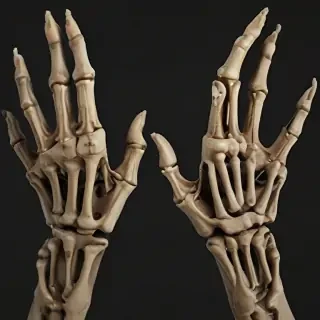 skeleton hands png