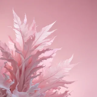 light pink background aesthetic
