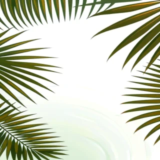 palm tree leaves png