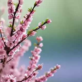 spring iphone background