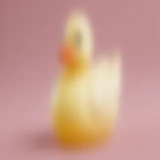 rubber duck png
