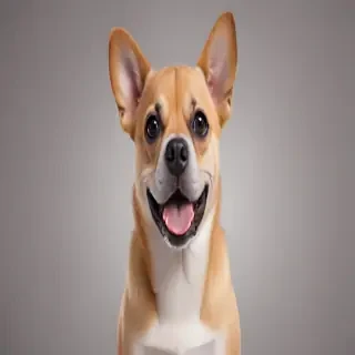 funny dog png