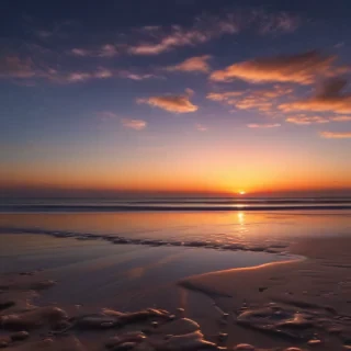 good night free